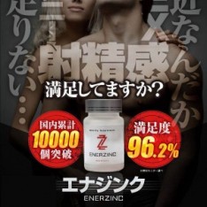 「エナジンク（ENERZINC）」のホームページ...